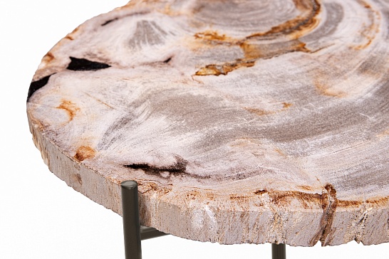 Кофейные столы, стол Журнальный стол ПАЛИАТ 382702 из окаменелого дерева - фотография №4