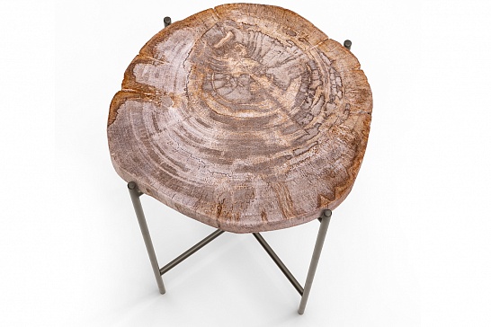 Кофейные столы, стол Журнальный стол ПАЛИАТ 382693 из окаменелого дерева - фотография №3