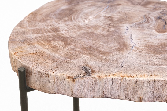 Кофейные столы, стол Журнальный стол ПАЛИАТ 382697 из окаменелого дерева - фотография №4