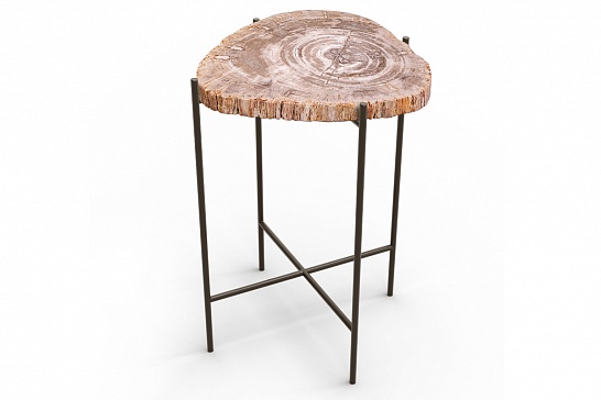 Кофейные столы, стол Журнальный стол ПАЛИАТ 382696 из окаменелого дерева - фотография №1