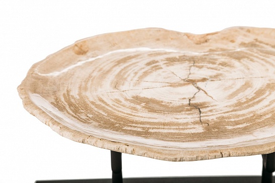 Декоративная тарелка 382340 из окаменелого дерева - фотография №1
