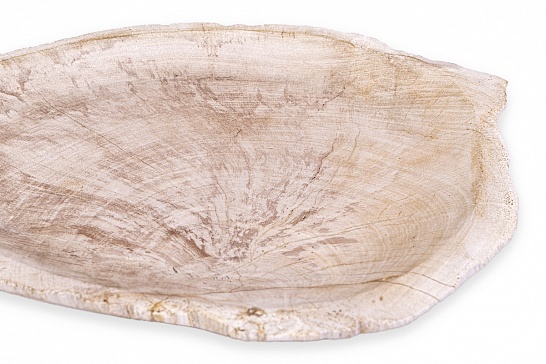 Декоративная тарелка 382443 из окаменелого дерева - фотография №3