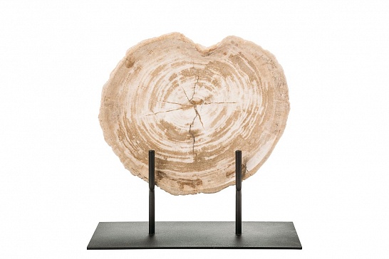 Декоративная тарелка 382340 из окаменелого дерева - фотография №2